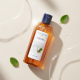 Шампунь Lebel Hair Soap with Jojoba (жожоба)
