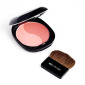 Двухцветные Румяна OTOME Duo Color Power Blush, 13 g