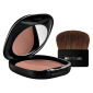 Двухцветные Румяна OTOME Duo Color Power Blush, 13 g