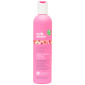 Шампунь для Окрашенных Волос Milk Shake Colour Care Flower Fragrance Colour Maintainer Shampoo