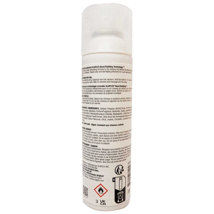 4D Clean Volume Detox Dry Shampoo 