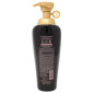 Укрепляющий Шампунь для Сухих и Ломких Волос Daeng Gi Meo Ri Ki Gold Premium Shampoo (Renewal)