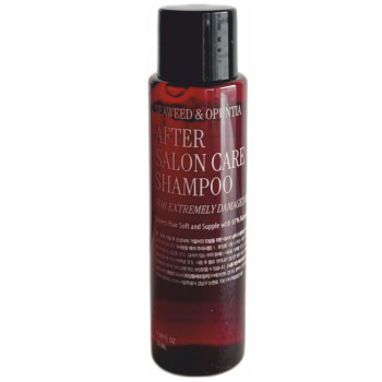 Curly Shyll After Salon Care Shampoo