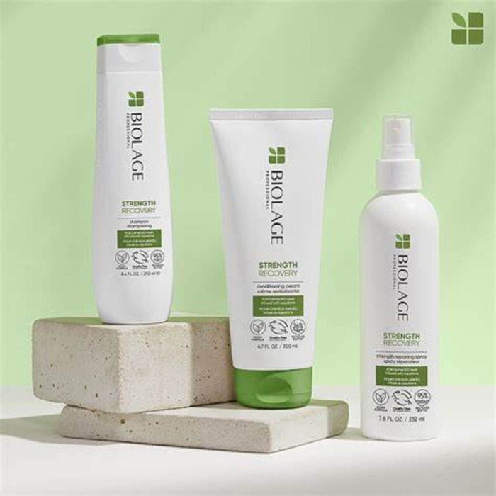 Шампунь для Укрепления Поврежденных Волос BIOLAGE Professional Strenght Recovery Shampoo