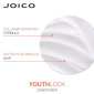 Кондиционер с Коллагеном для Длинных/Зрелых Волос Joico YouthLock Conditioner Formulated with Collagen