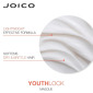 Маска с Коллагеном для Длинных/Зрелых Волос Joico YouthLock Treatment Masque Formulated with Collagen