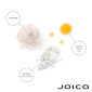 Шампунь с Коллагеном для Длинных/Зрелых Волос Joico YouthLock Shampoo Formulated with Collagen