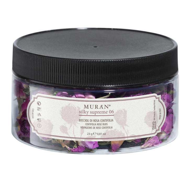 Бутоны Розы Центифолии MURAN Silky Supreme 06 Centifolia Rose Buds