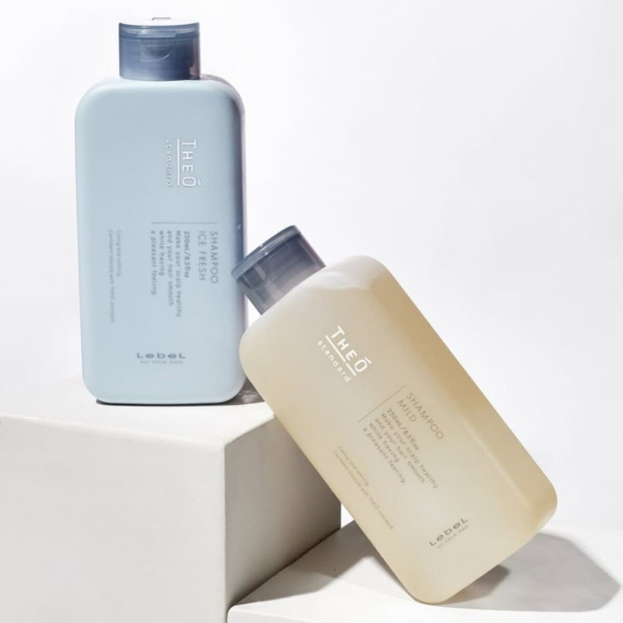Освежающий Мужской Шампунь для Волос Lebel Theo Standard Shampoo Ice Fresh