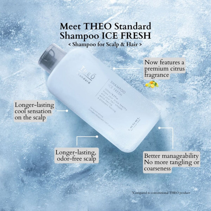 Освежающий Мужской Шампунь для Волос Lebel Theo Standard Shampoo Ice Fresh