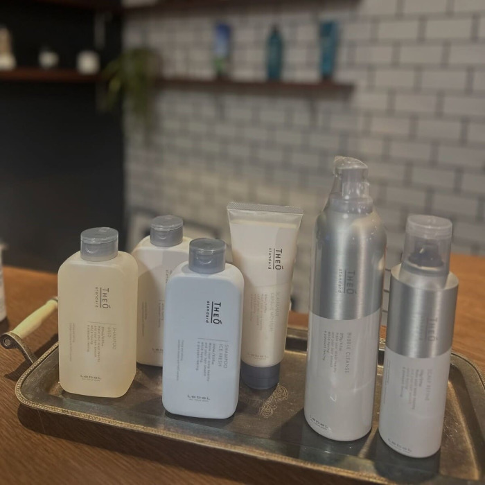Освежающий Мужской Шампунь для Волос Lebel Theo Standard Shampoo Ice Fresh