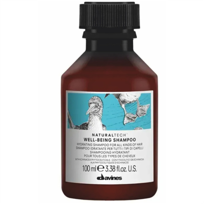 Увлажняющий Шампунь для Волос Davines Natural Tech Well-Being Shampoo