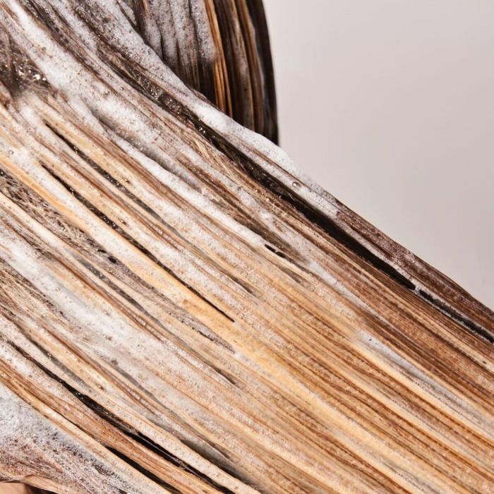 Шампунь для Восстановления Гладкости и Блеска Волос «Жидкий Шелк» HADAT Cosmetics Liquid Silk Shampoo