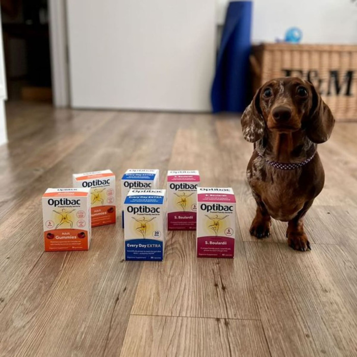 Пробиотик Буларди Сахаромицеты для Поддержания Микрофлоры Кишечника Optibac S. Boulardii