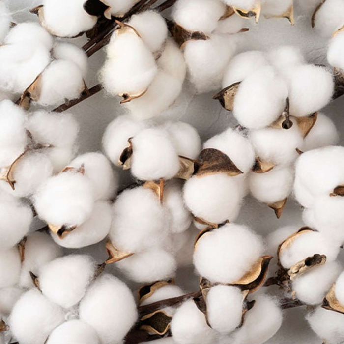 Глубоко Очищающий Хелатирующий Шампунь для Волос MEDAVITA Keratin Miracle Pure Chelating Shampoo