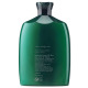 Шампунь для Увлажнения Кудрявых Волос «Идеальные Локоны» Oribe Eternal Curls Moisturizing Shampoo